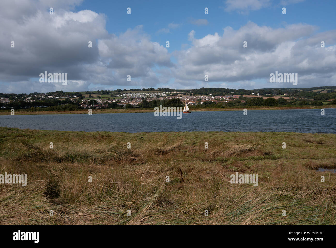 L'estuaire de la rivière Ax, Seaton, Devon, UK Banque D'Images