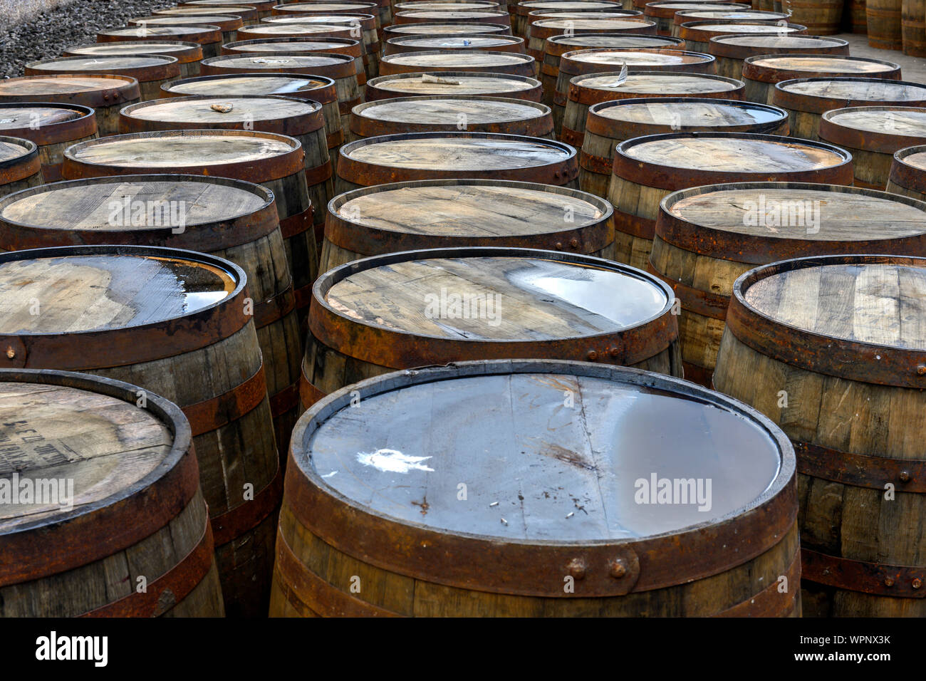 Voir d'anciens tonneaux à whisky Highland single malt whisky Glenglassaugh Distillery, Portsoy, Aberdeenshire, Scotland, UK. Banque D'Images