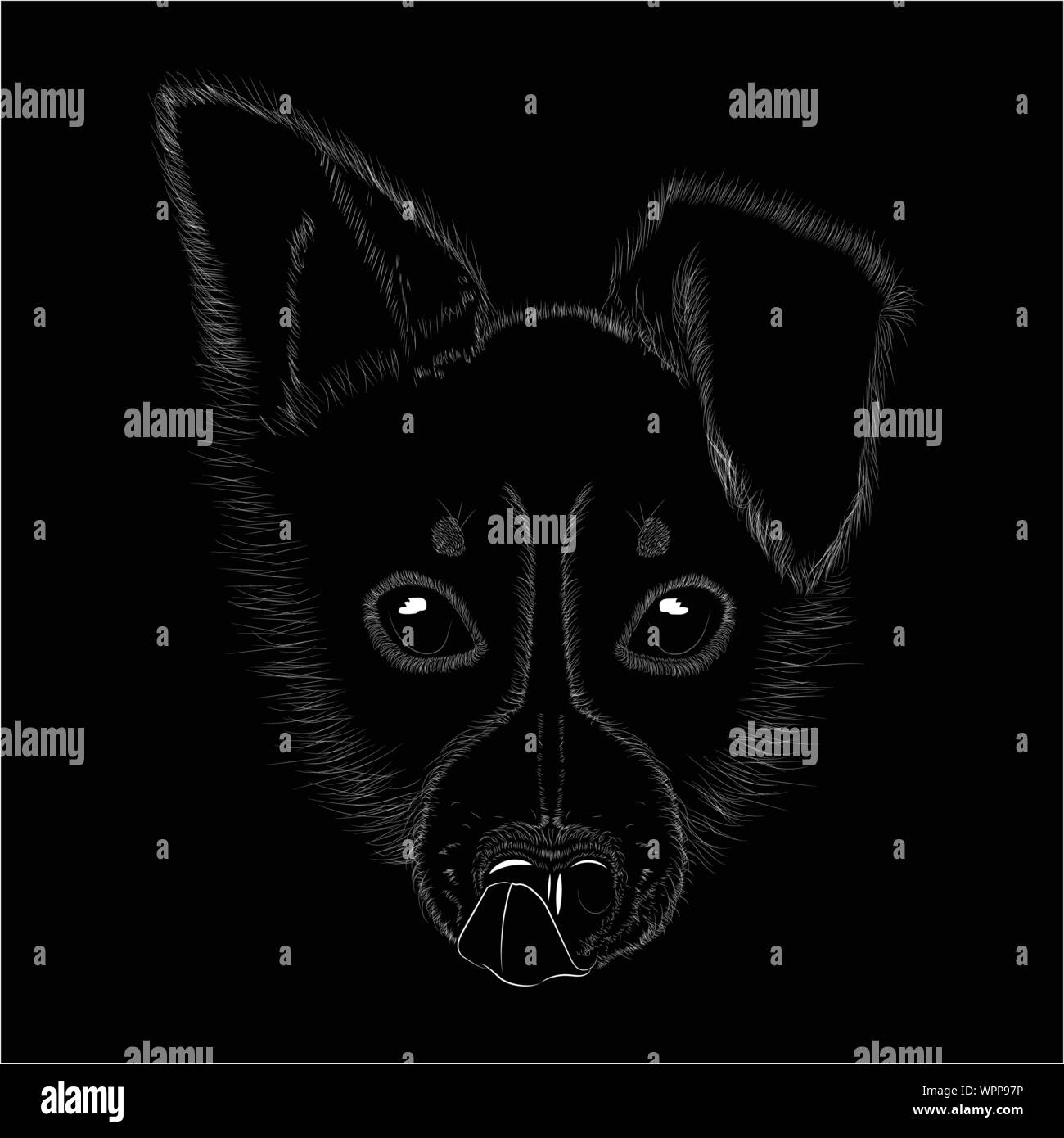 La tête du chien chiot border collie Illustration de Vecteur