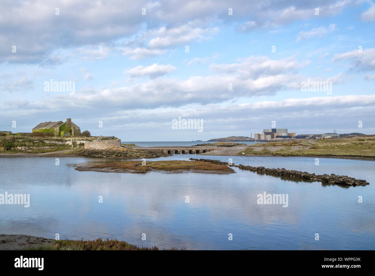 Cemlyn au nord du Pays de Galles et de la réserve de fiducie de la faune du nucléaire Wylfa Power Station, Cemaes Bay, Anglesey, au nord du Pays de Galles, Royaume-Uni Banque D'Images