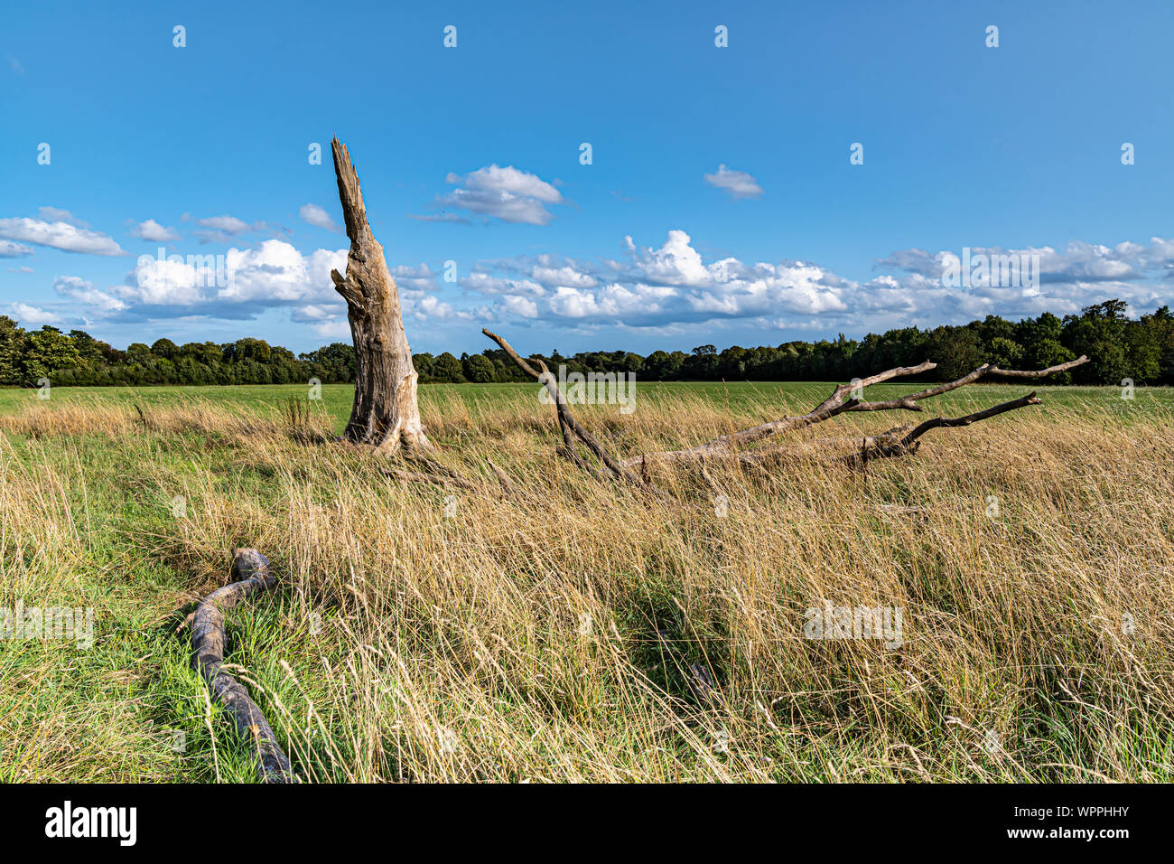 Paysage Banque D'Images