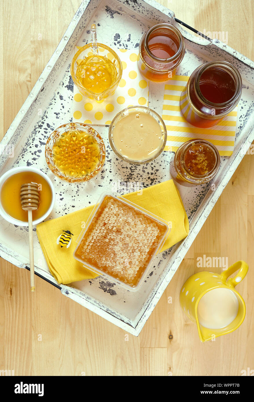 Variété de différents types de miel d'abeilles, y compris bush, miel foncé fleur orange pâle, matières premières non filtrée, rivière de la gomme, et le miel crémeux pâle. Banque D'Images