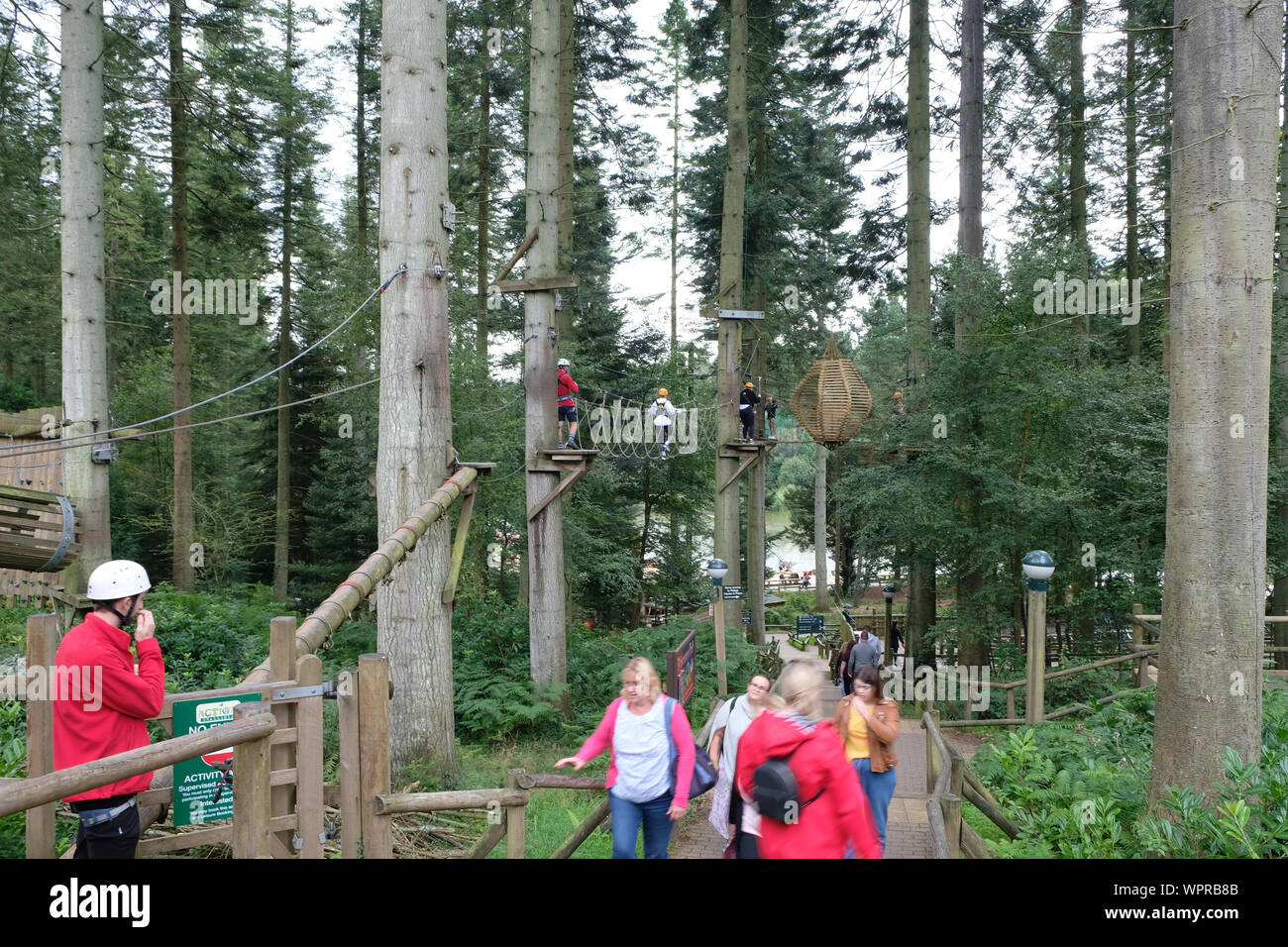 Septembre 2019. Le haut encordé à Center Parcs Longleat Forest, UK Banque D'Images