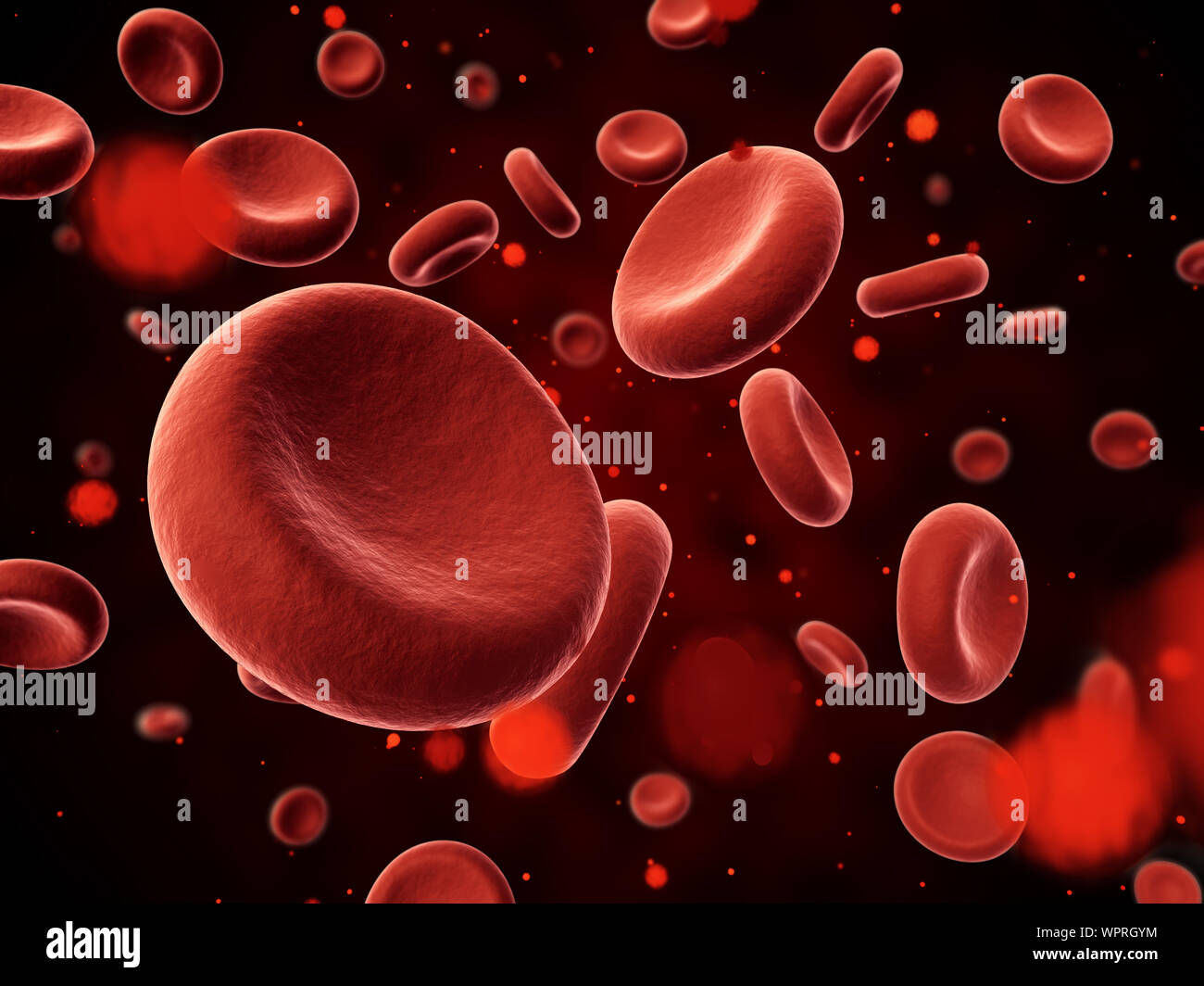 Illustration 3d de particules de sang in focus Banque D'Images