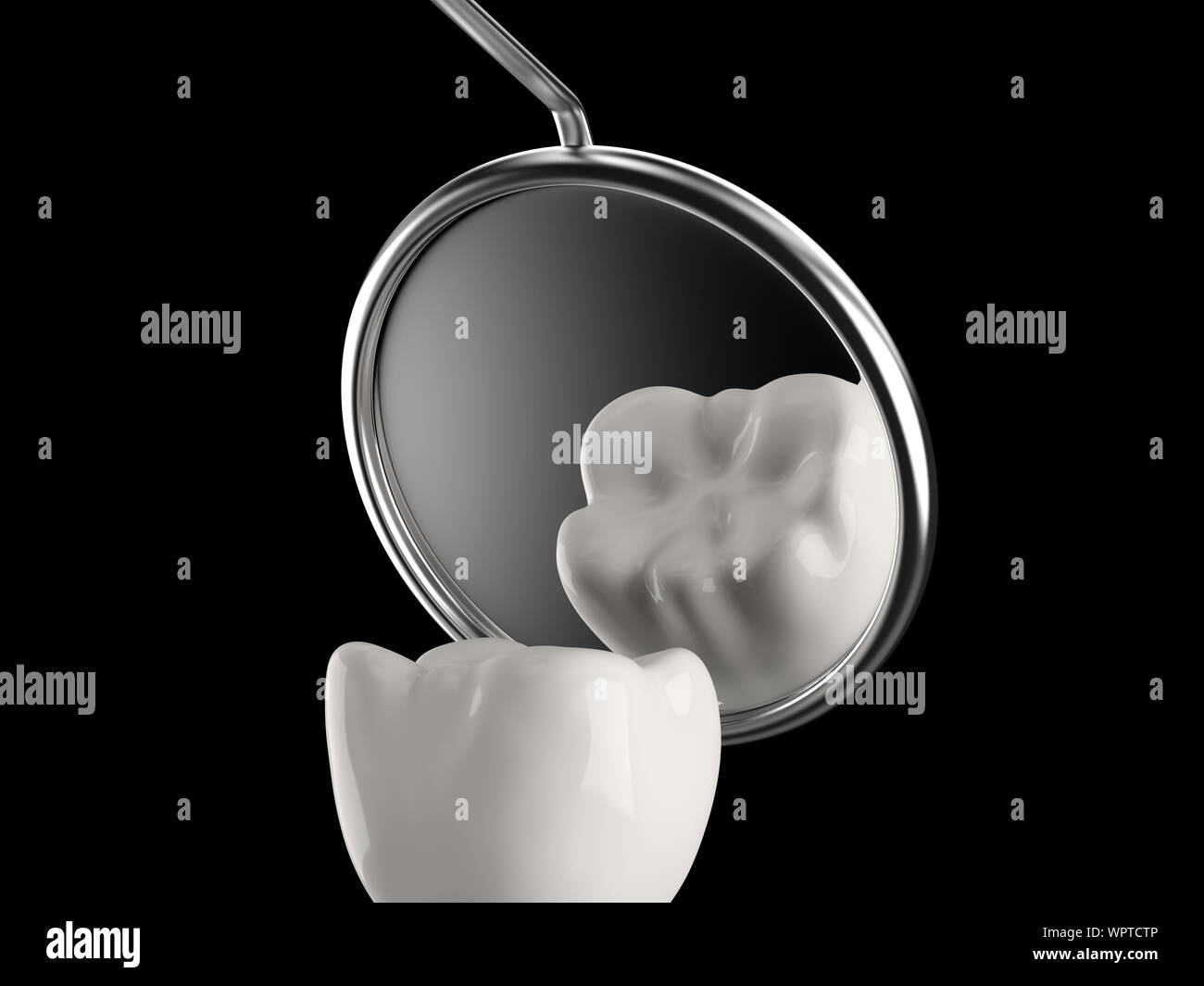 La dent saine (molaire) avec miroir de la bouche Banque D'Images