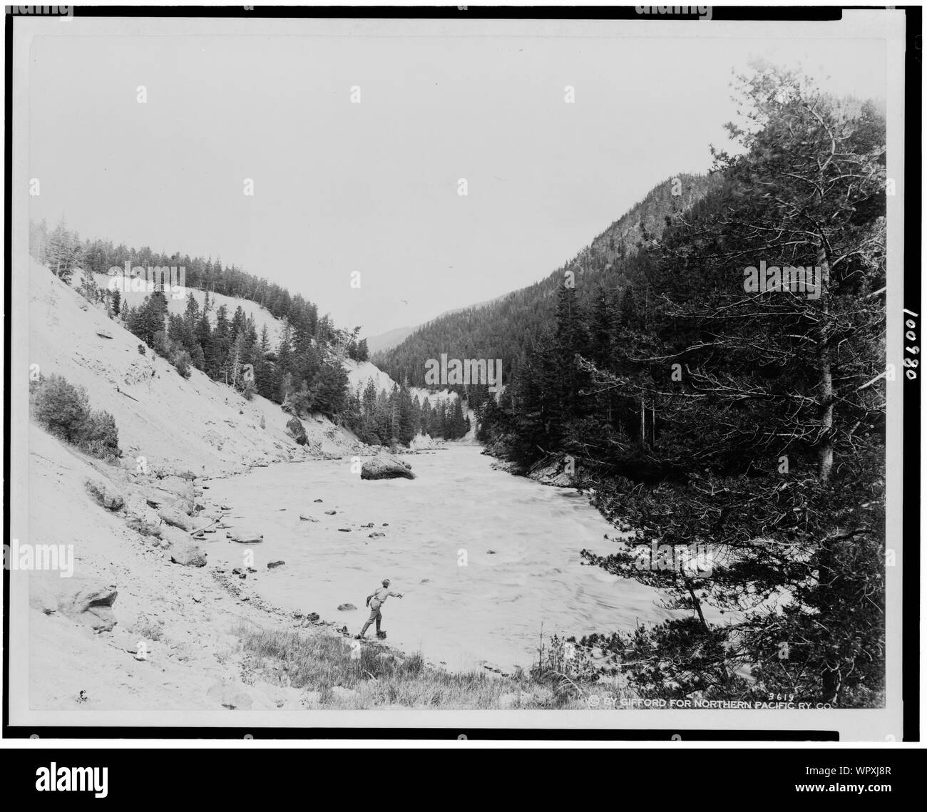 L'homme à la pêche dans l'Fishin' Trou dans la rivière Yellowstone, le Parc National de Yellowstone, atteint par la Northern Pacific Railway via passerelle Gardiner Banque D'Images