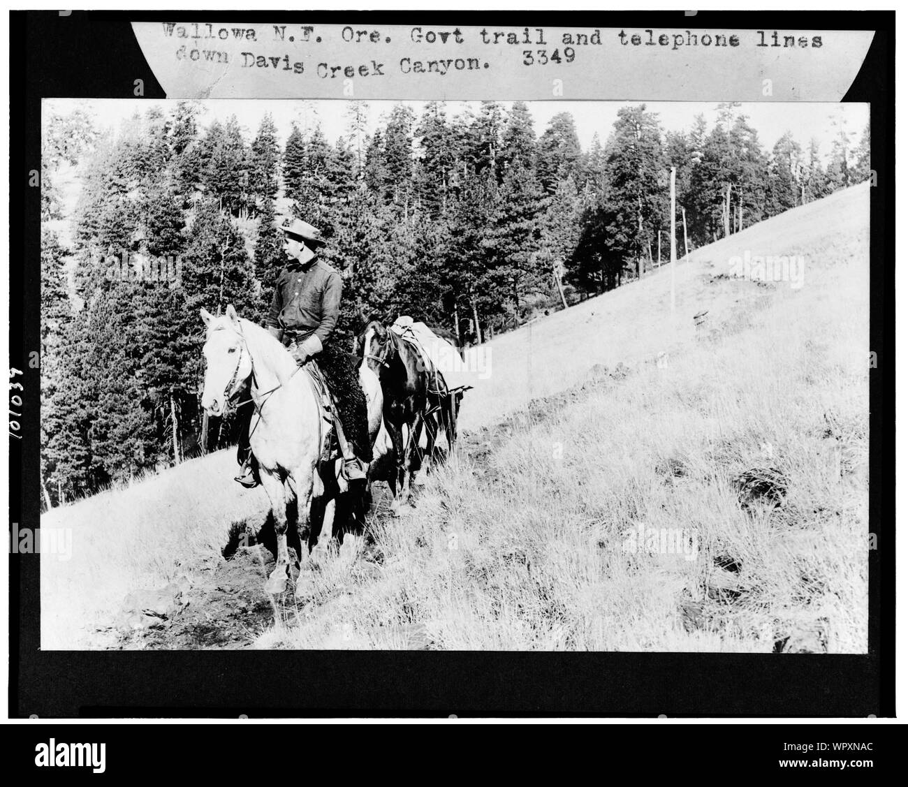 Homme à cheval menant vers le bas pack horse trail du gouvernement, et les lignes téléphoniques à Davis Creek Canyon, Wallowa National Forest, Virginia Banque D'Images