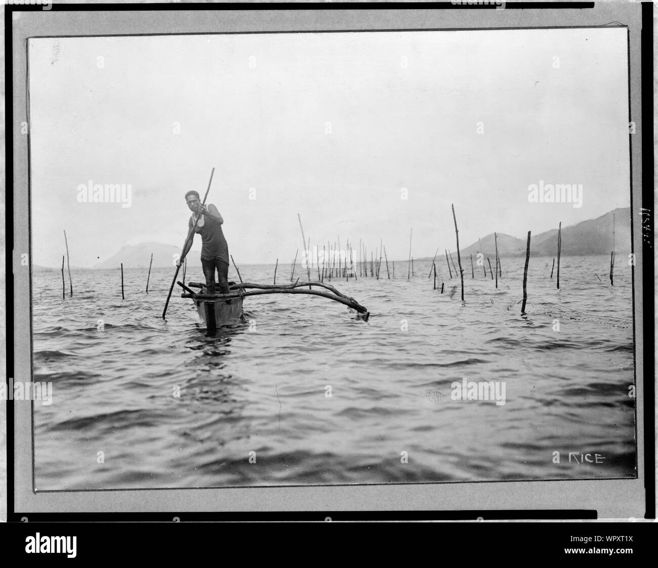 Homme debout en bateau, sur le poisson piège, Virginia] / Rice Banque D'Images