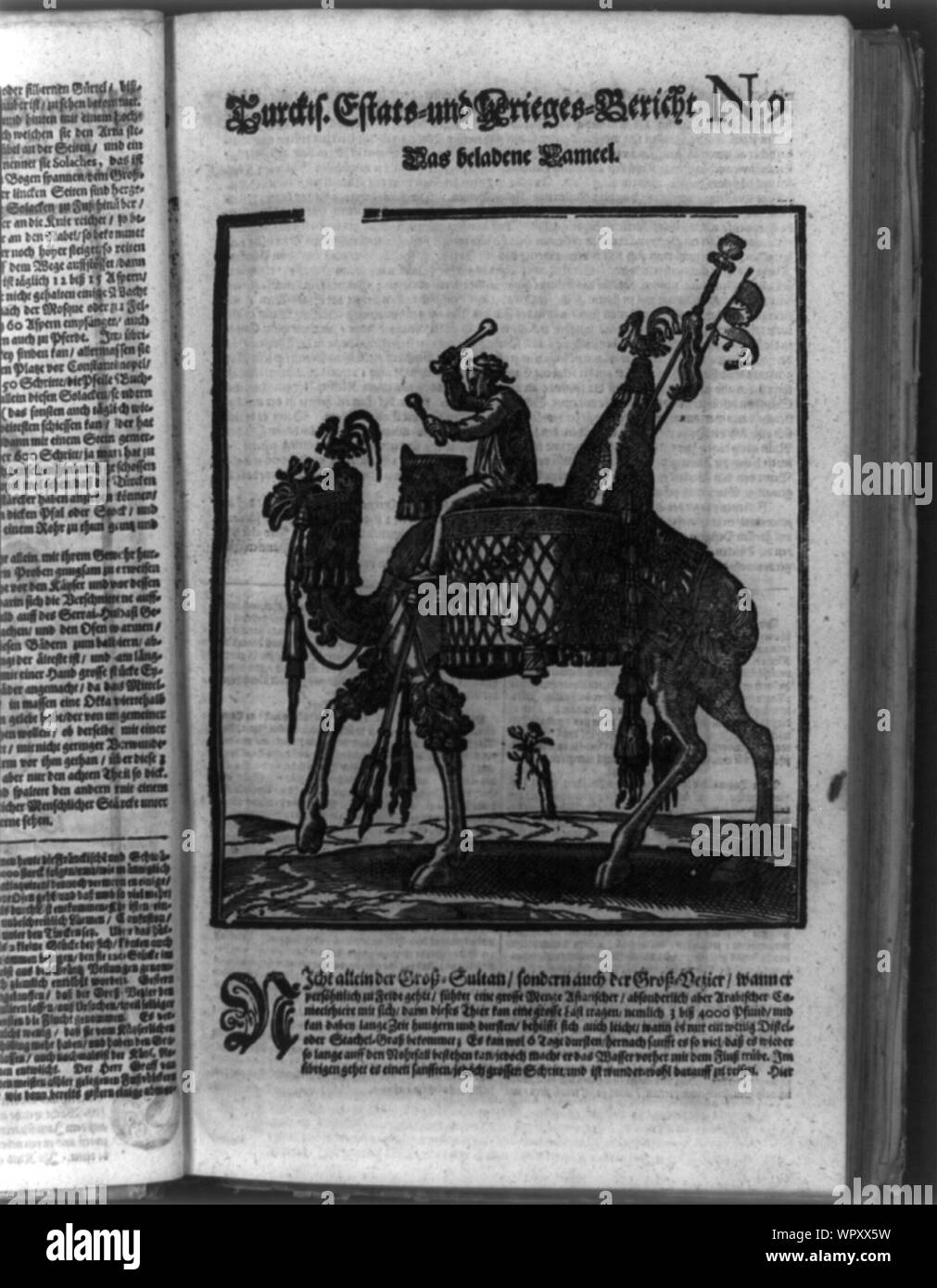 Homme avec tambour sur camel utilisé par l'armée du Grand Vezir dans le siège de Vienne Banque D'Images