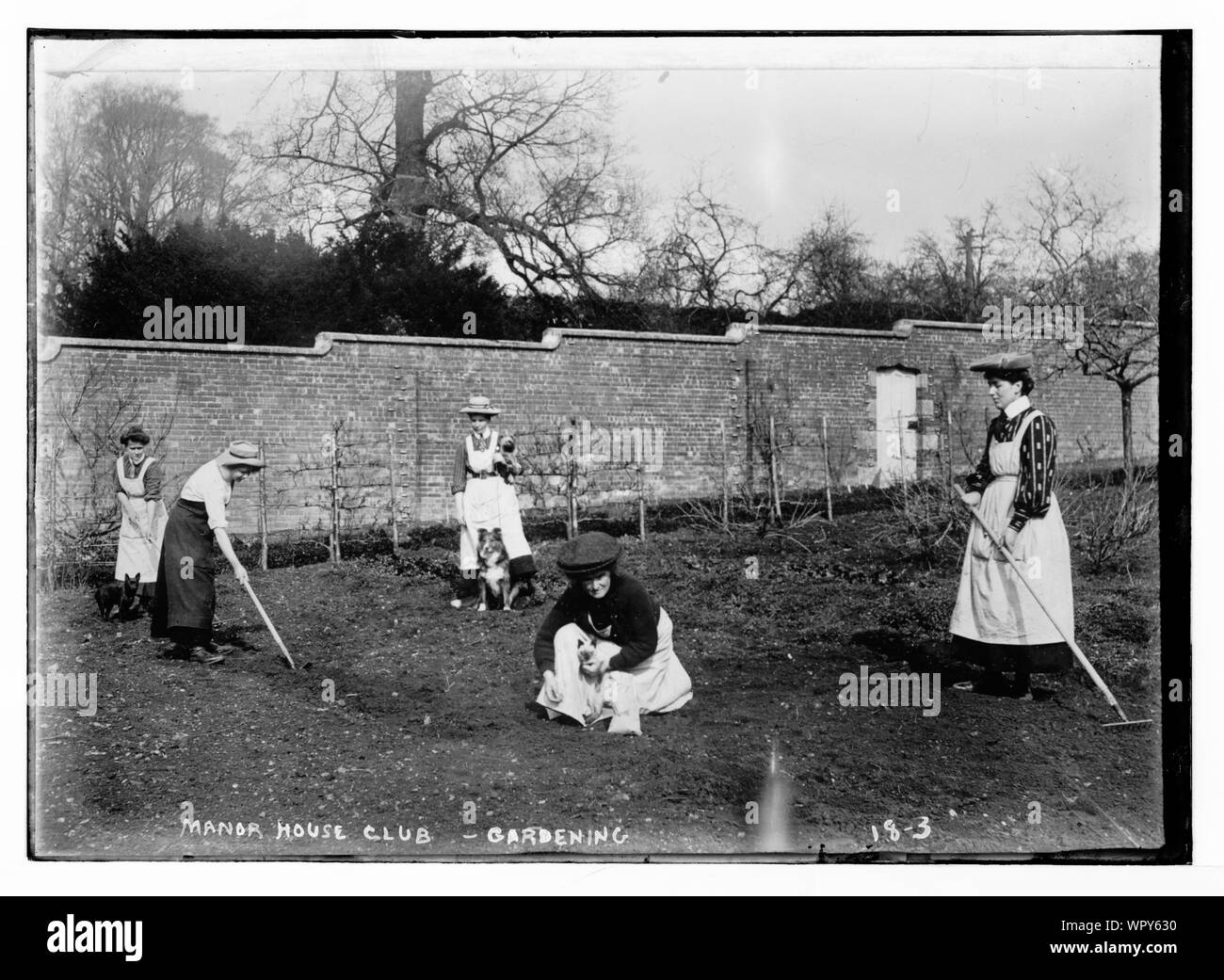 Manor House Club - jardinage Banque D'Images