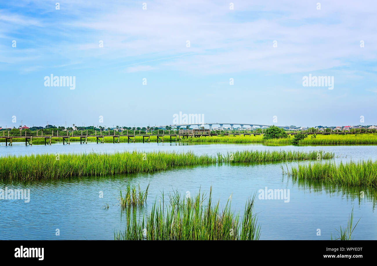 La rivière Matanzas et Vilano Causeway sont illustrés par les banques de Fontaine de Jouvence Parc Archéologique, le 6 septembre 2019, à Saint Augustine, en Floride. Banque D'Images