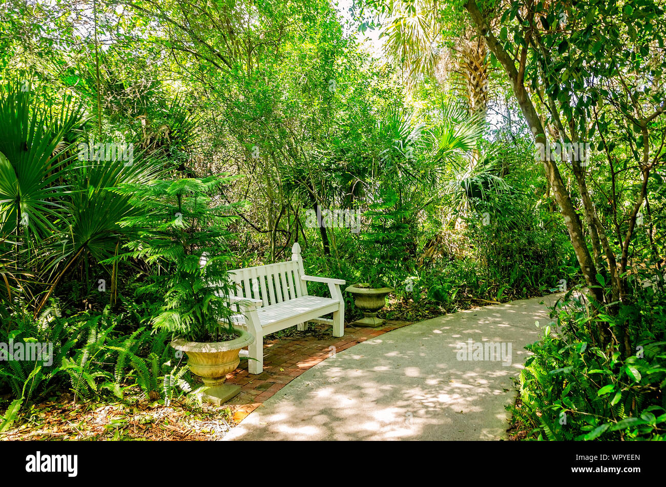 Un banc offre aux visiteurs un lieu de repos au phare de St Augustine et Musée Maritime, le 6 septembre 2019, à Saint Augustine, en Floride. Banque D'Images Un banc offre aux visiteurs un lieu de repos au phare de St Augustine et Musée Maritime, le 6 septembre 2019, à Saint Augustine, en Floride. Banque D'Images