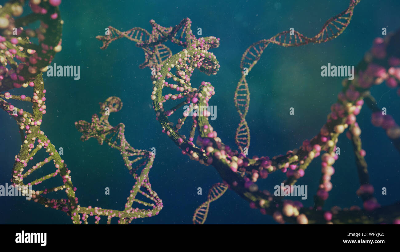 Molécule d'ADN en double hélice, l'exécution des instructions génétiques Banque D'Images