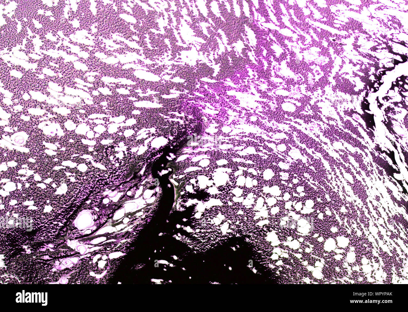 Gris rose abstrait art vintage grunge texture approximative d'encre peinture effet splash illustration design background Banque D'Images