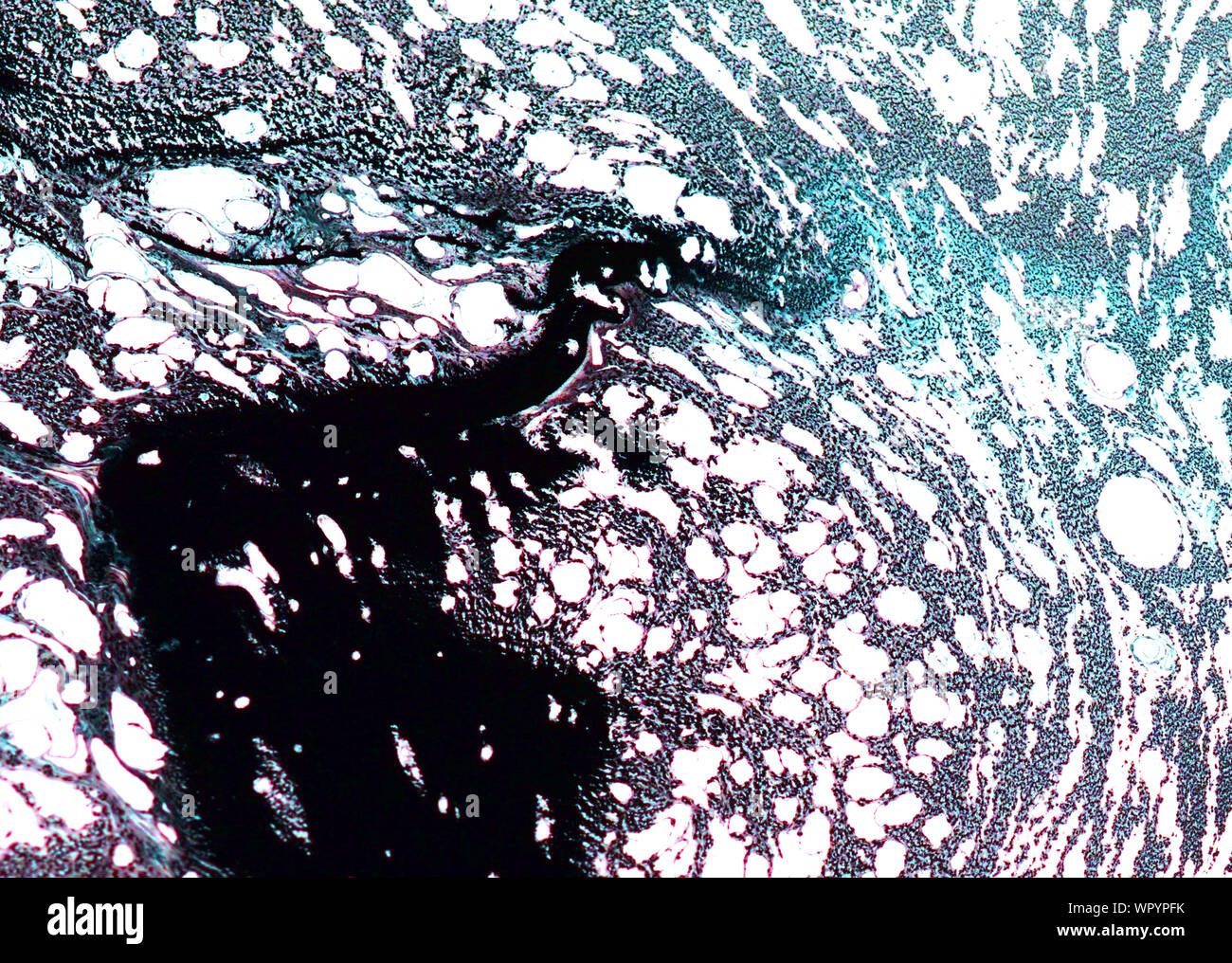 Gris rose abstrait art vintage grunge texture approximative d'encre peinture effet splash illustration design background Banque D'Images