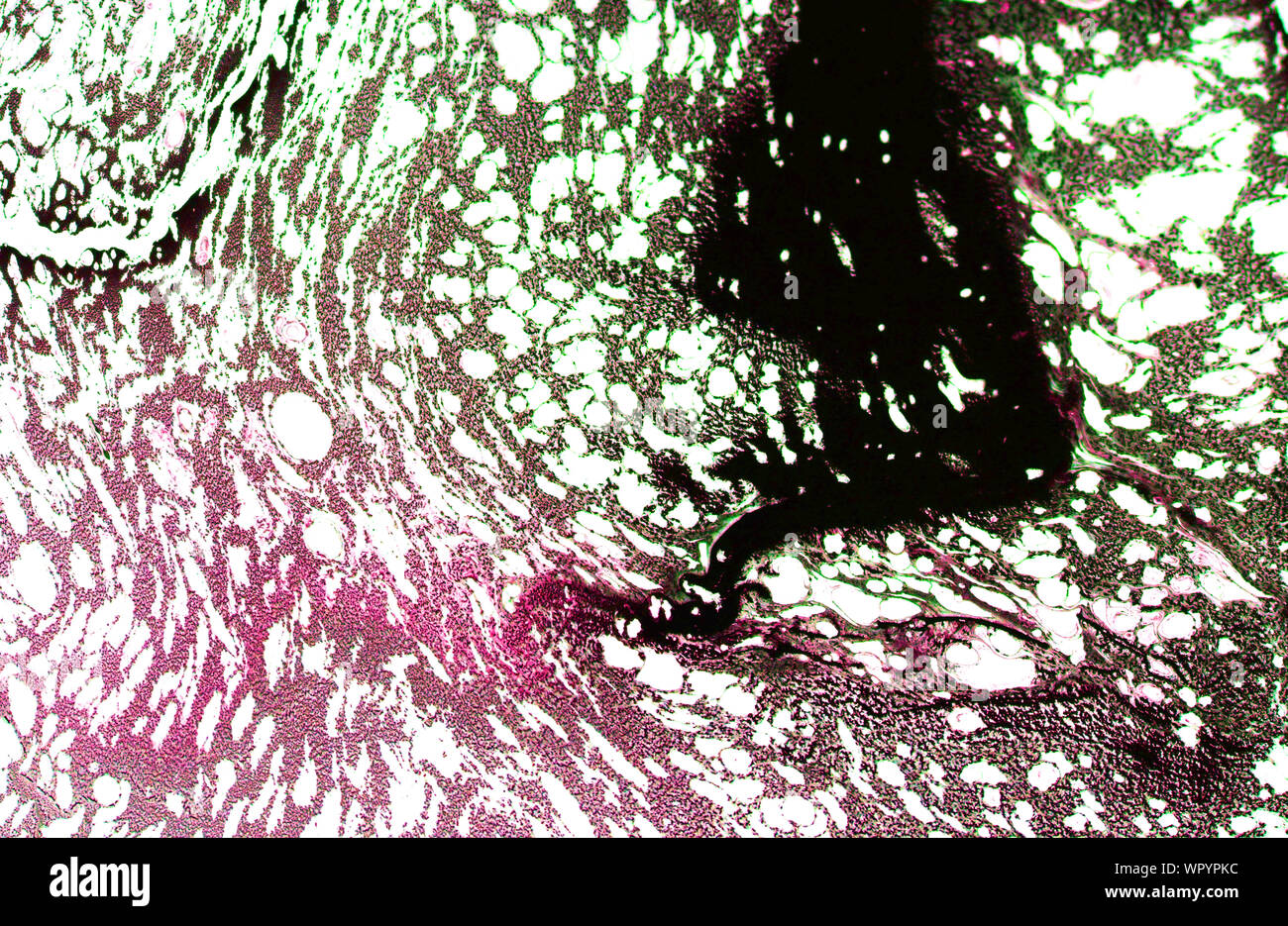 Gris rose abstrait art vintage grunge texture approximative d'encre peinture effet splash illustration design background Banque D'Images