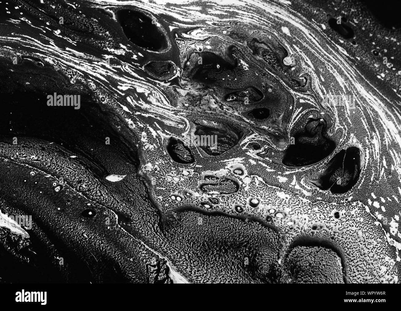 Résumé fond d'encre. En style. Trait de peinture noire sur la texture du papier blanc. Fond d'écran pour le web et la conception de jeux. La boue grunge art. macro image de pe Banque D'Images