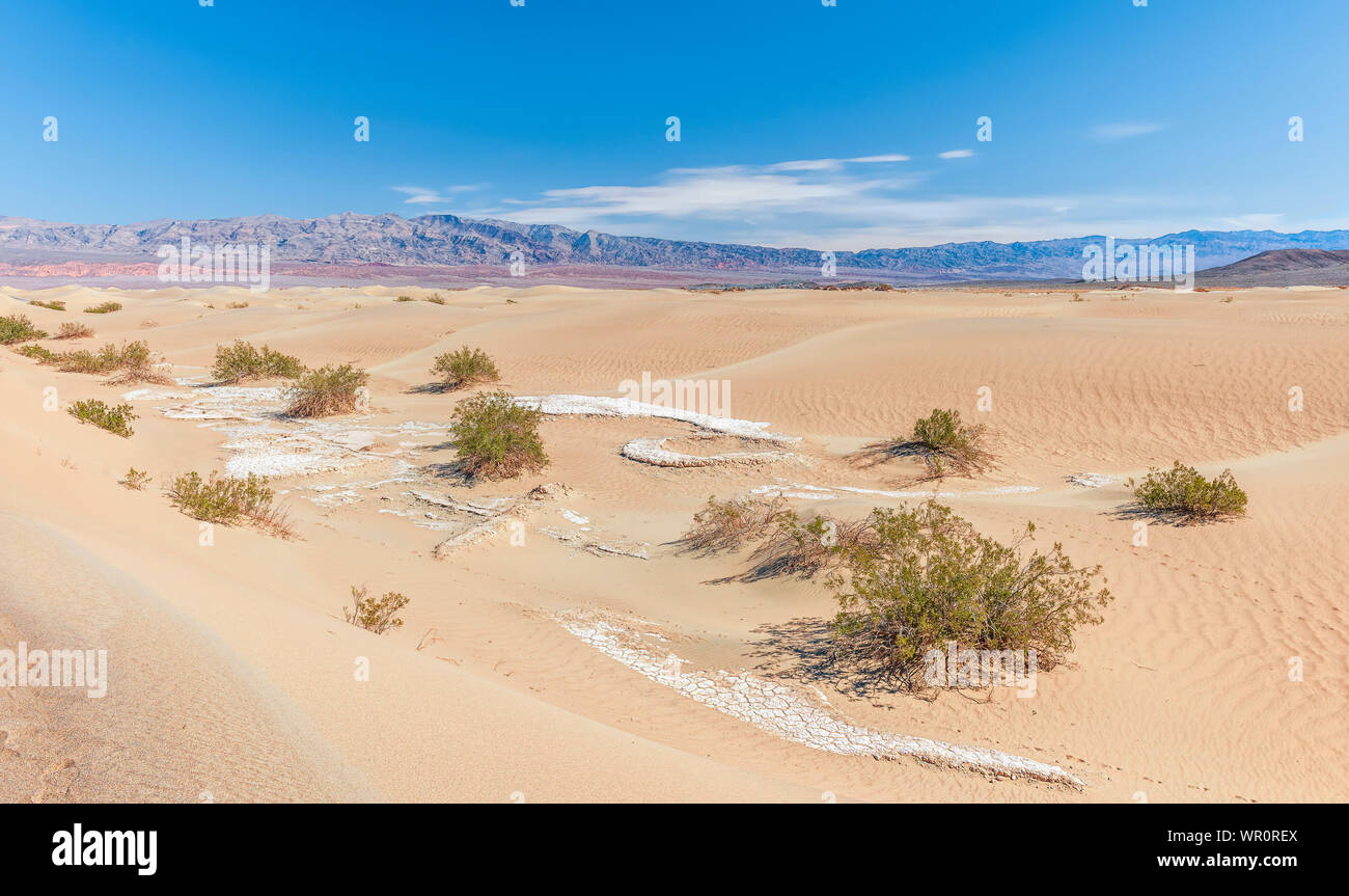 Télévision Mesquite Sand Dunes in Death Valley National Park. La Californie. USA Banque D'Images