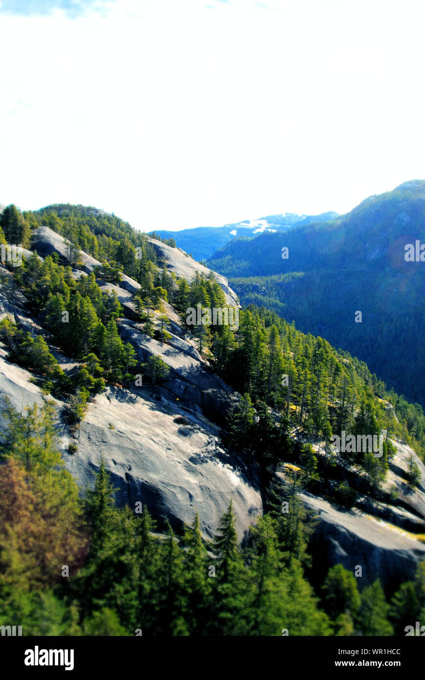 Roche de granit et de conifères vue depuis les sentiers de randonnée de montagne Stawamus Chief, British Columbia, Canada Banque D'Images