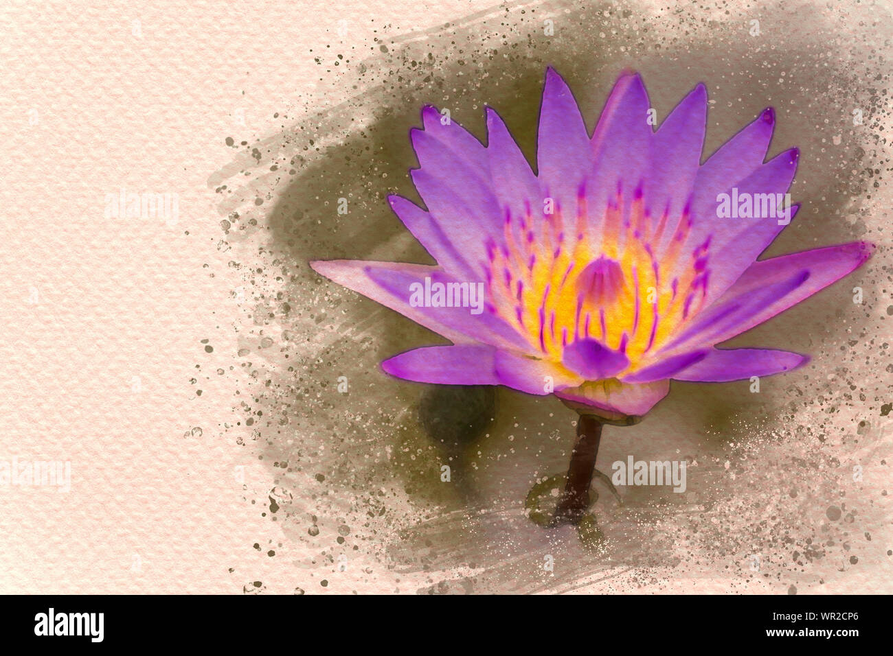 Libre de lotus dans le marais. Effet aquarelle numérique. L'espace de copie pour le texte. Banque D'Images