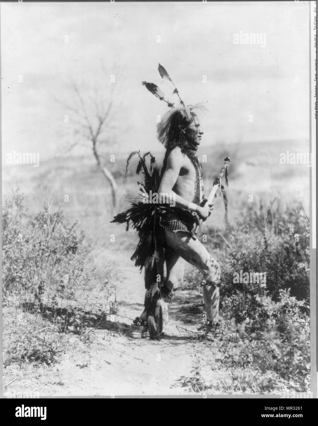 Mato Wammyomni Banque D'Images