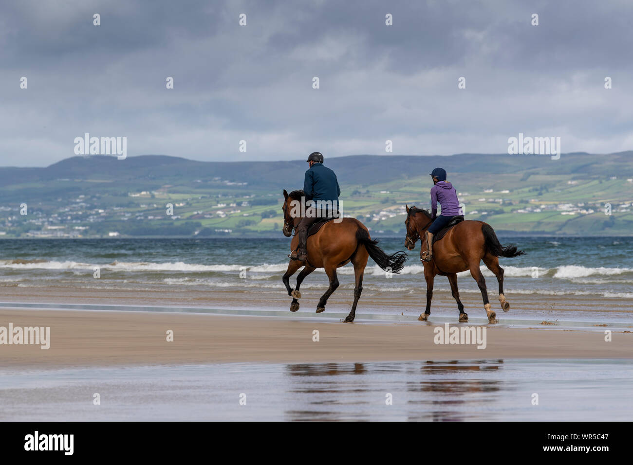 L'exercice de leurs cavaliers chevaux sur la plage de Benone, Irlande du Nord, Royaume-Uni. Banque D'Images
