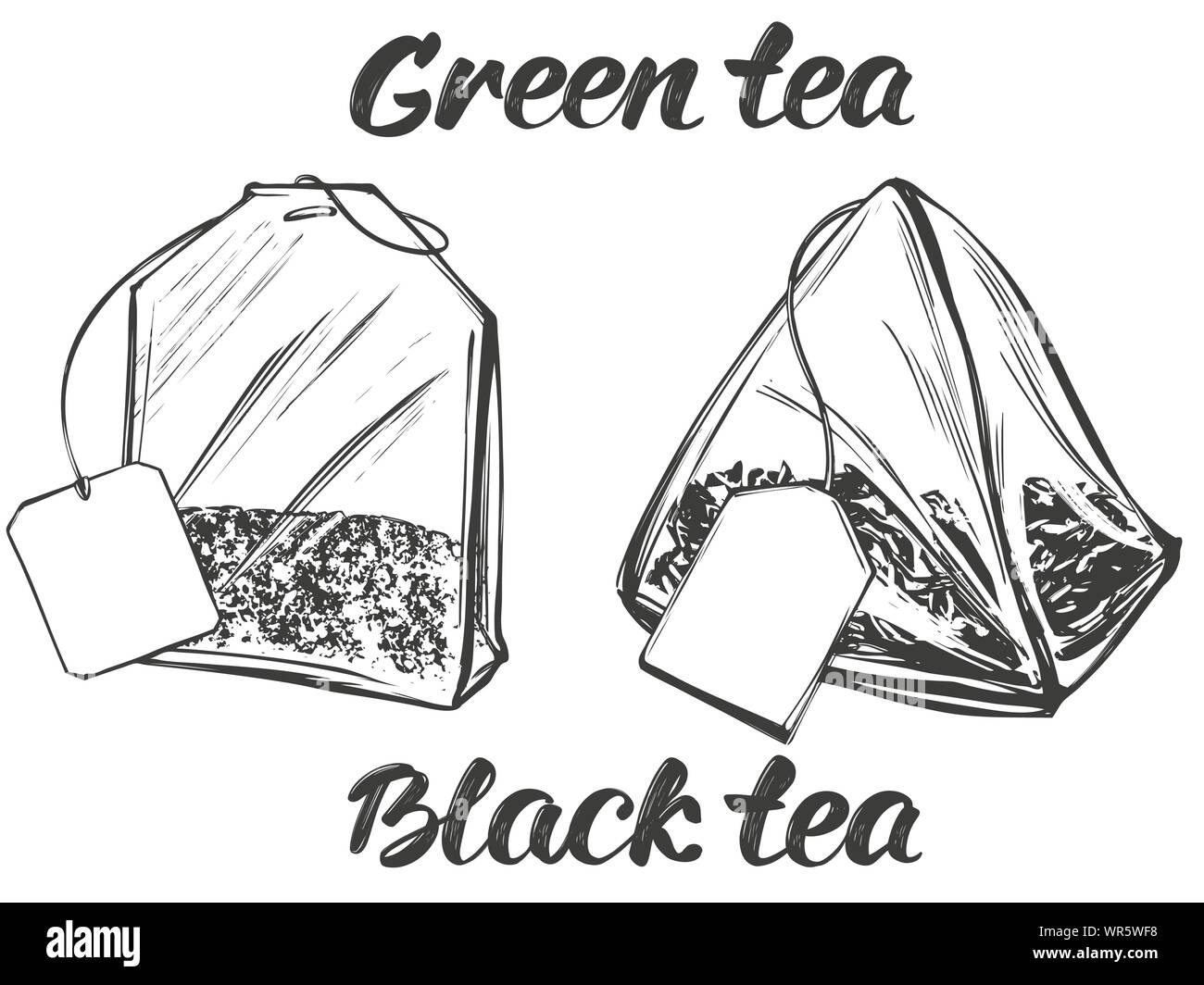 Collection de sacs de thé isolé sur fond blanc hand drawn vector illustration croquis réalistes. Illustration de Vecteur