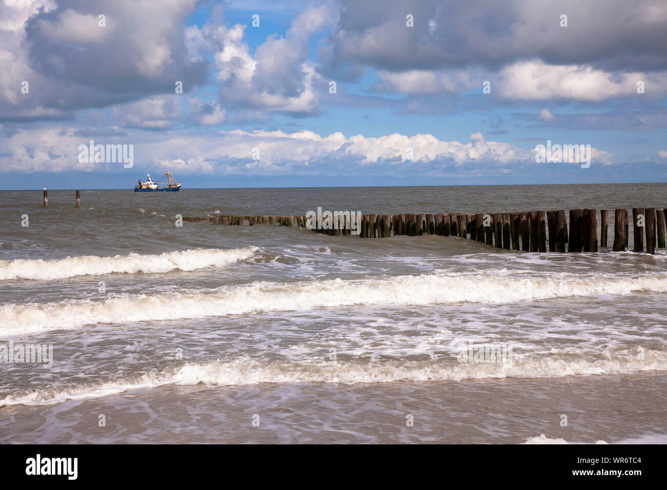 Aine à la plage de Domburg sur la presqu'île de Walcheren, Zélande, Pays-Bas. Buhne am Strand von Domburg Walcheren auf, Zélande, Pays-Bas. Banque D'Images