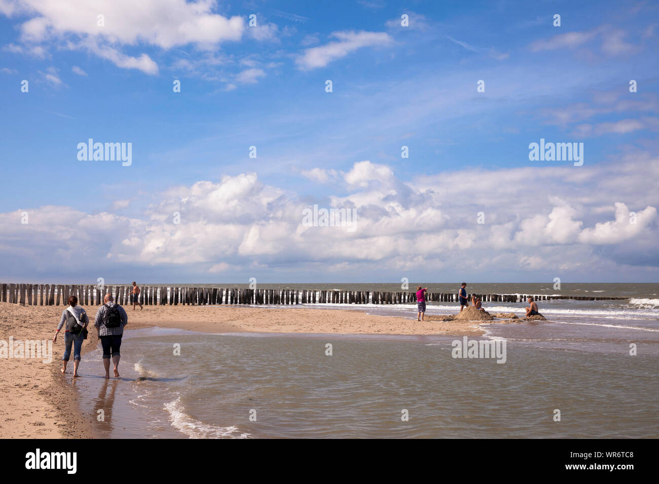 Aine à la plage de Domburg sur la presqu'île de Walcheren, Zélande, Pays-Bas. Buhne am Strand von Domburg Walcheren auf, Zélande, Pays-Bas. Banque D'Images