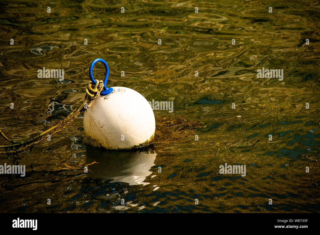 Bouée flottant sur l'eau vert sombre sombre Banque D'Images