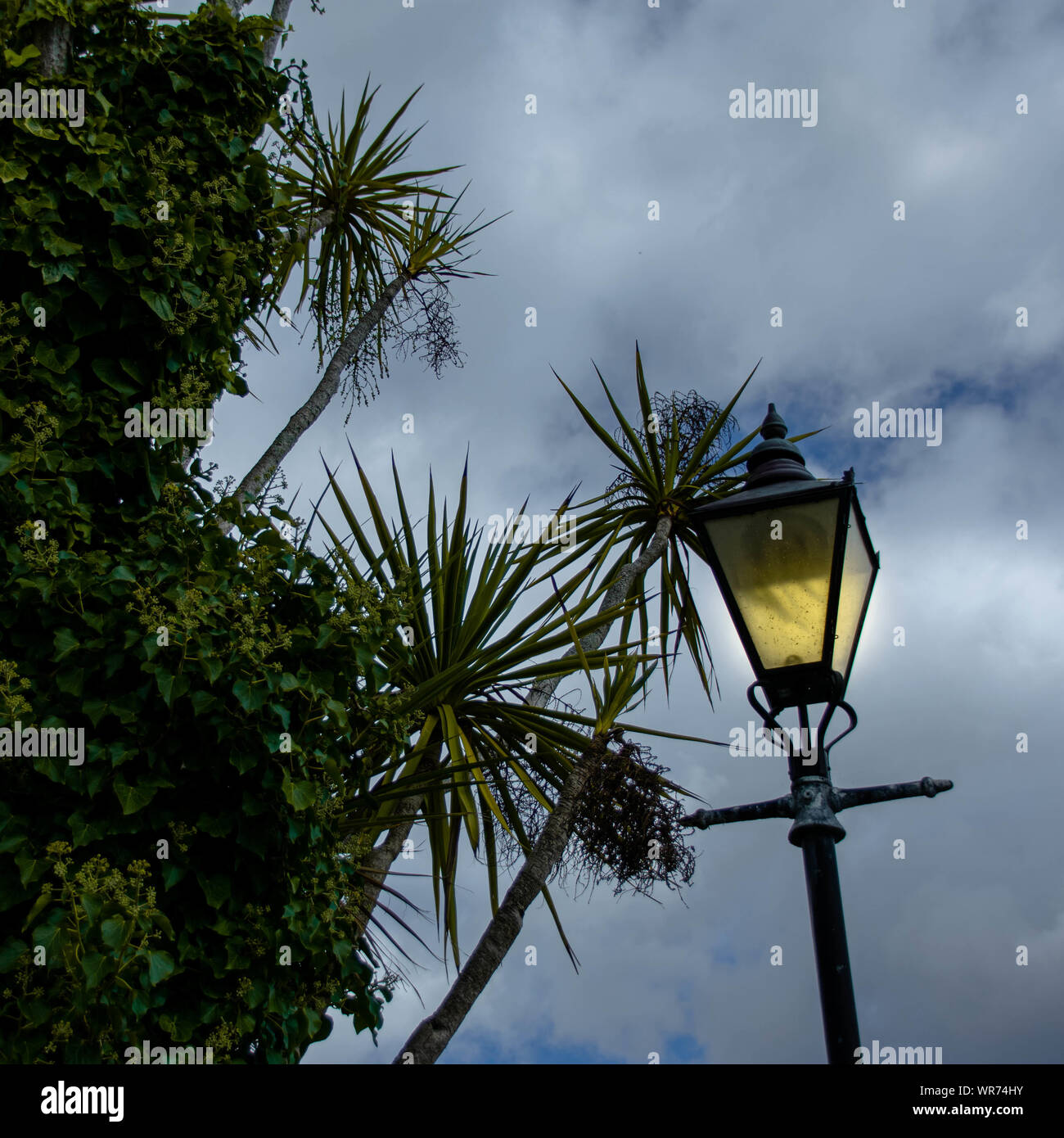 Style Victorien traditionnel lampe de rue Banque D'Images