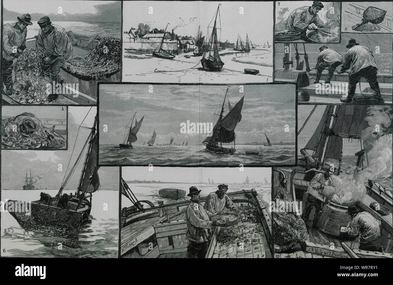 Crevette à l'embouchure de la Tamise. Leigh-on-Sea. 1883 pêcheurs ILN imprimer Banque D'Images