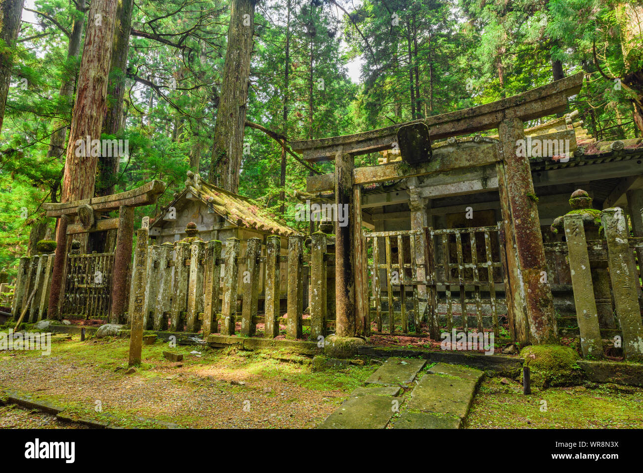 Wakayama, Japon - 23 juillet 2019 : Tombe de Yuki Hideyasu, un samouraï japonais qui a vécu pendant le début et Azuchi Momoyama des périodes d'Edo. Il était le daim Banque D'Images