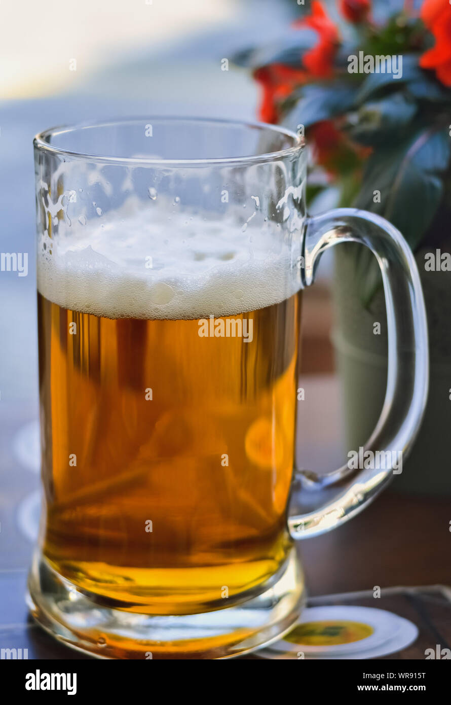Libre d'une chope pleine de bière légère tchèque original Banque D'Images