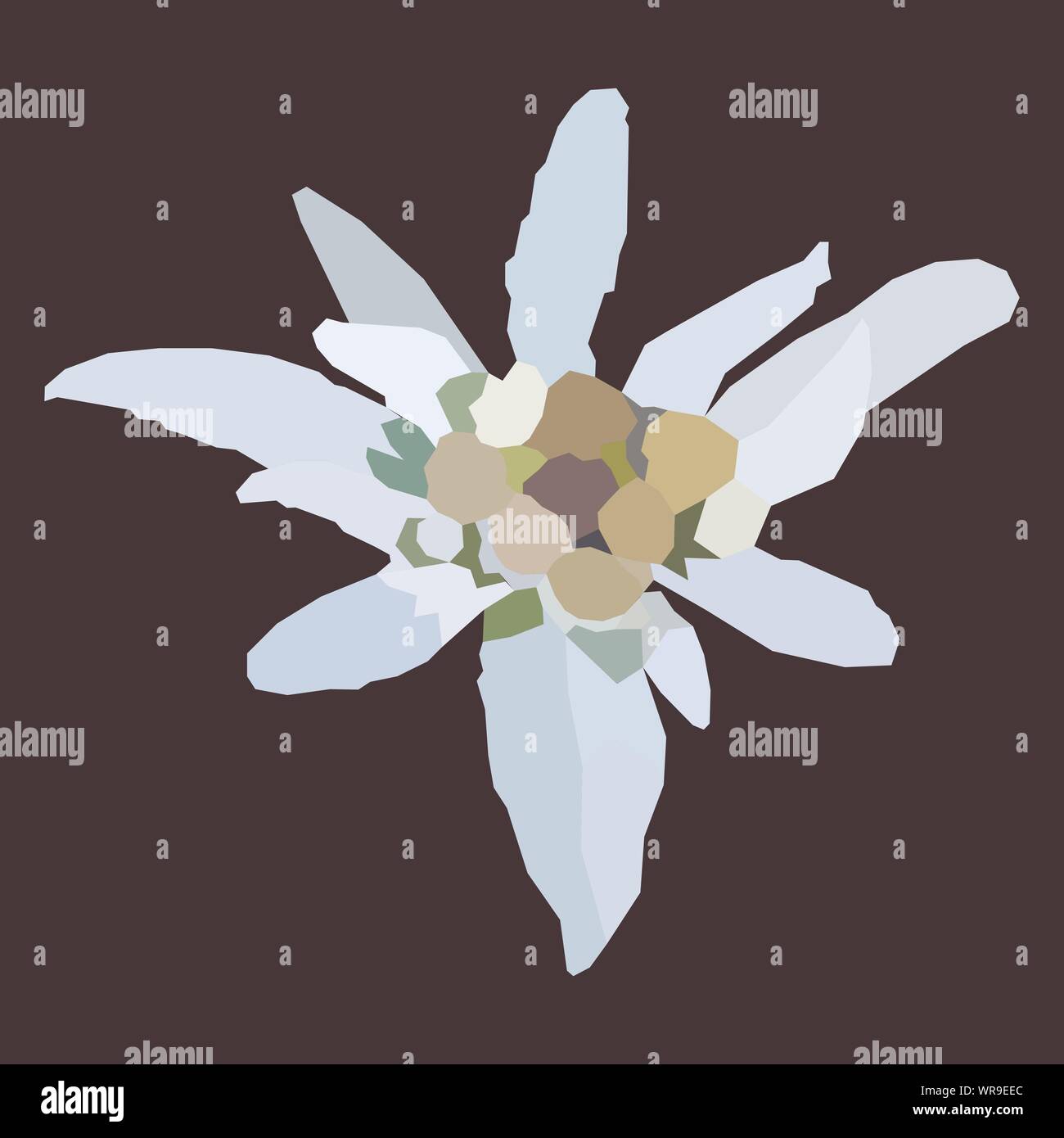 Fleur de montagne Edelweiss - low poly. Vecteur d'un polygone, blanc fleur de montagne appelé Leontopodium nivale, utilisé comme un symbole ou un logo pour l'alpin Illustration de Vecteur