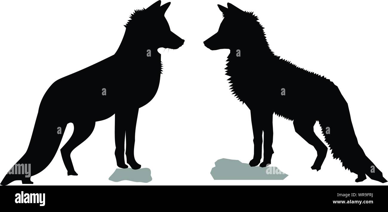 Silhouettes noires de deux renards roux (Vulpes vulpes). Les formes vectorielles légèrement différents des deux côtés de la renarde sauvage/profil, debout sur un rocher Illustration de Vecteur