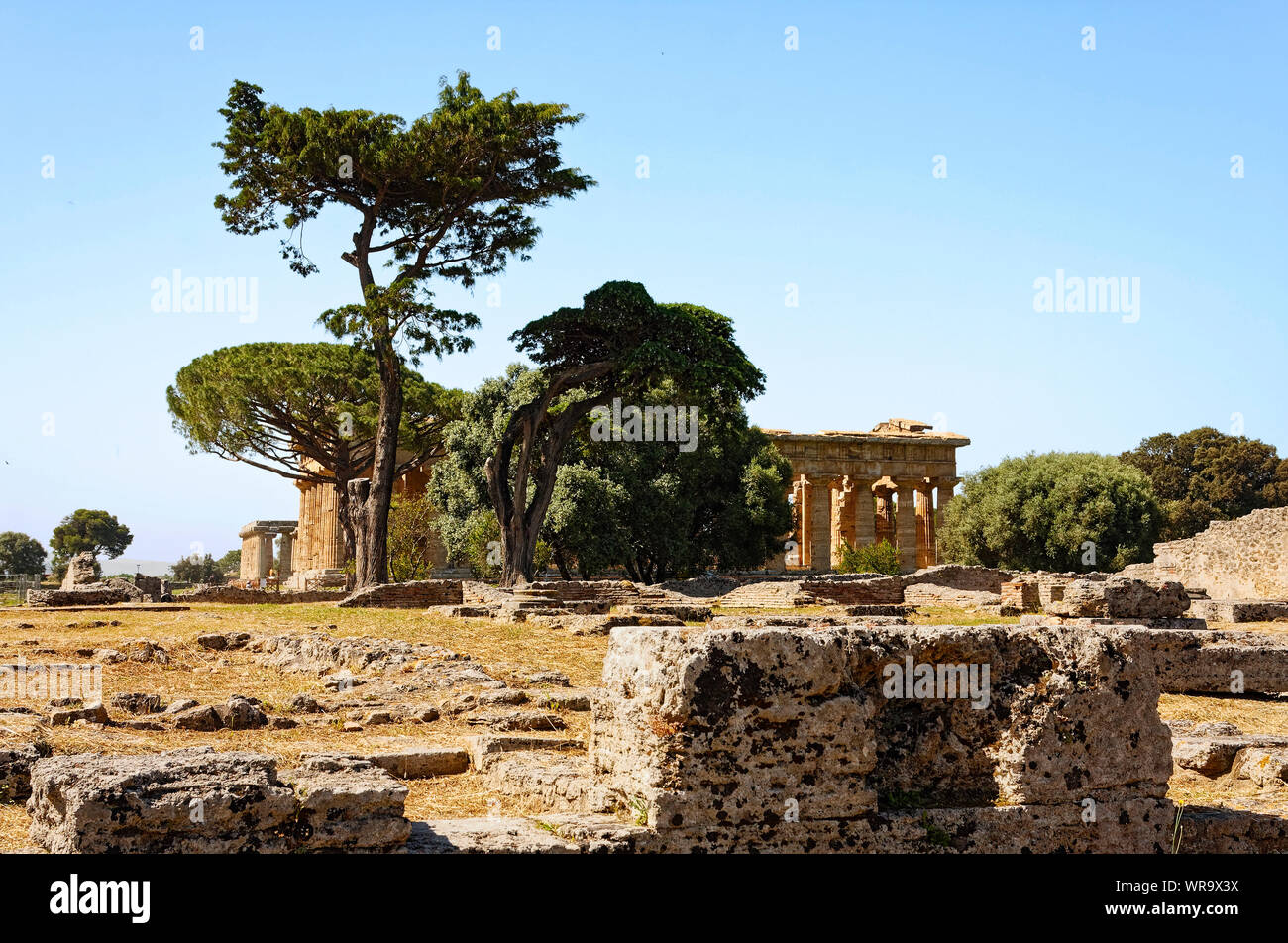 Paestum, ruines, Temple de Neptune, ancienne ville grecque, site archéologique, 450 B.C., vieux, site de l'UNESCO ; Europe ; Province de Salerne, Italie, printemps ; hor Banque D'Images