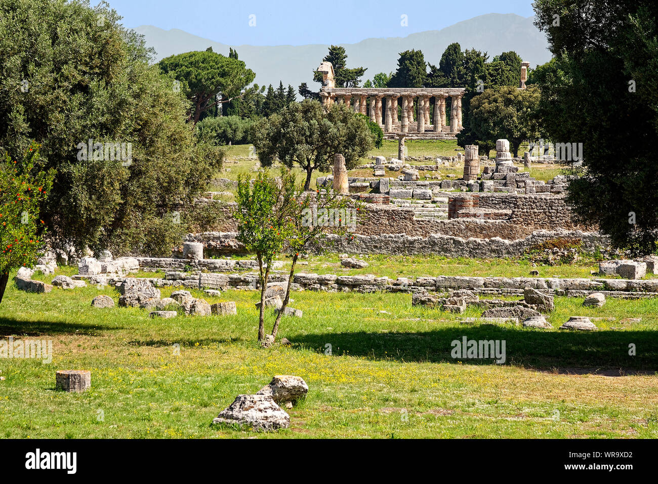Paestum, ruines, Temple d'Athéna, Ceres, ancienne ville grecque, site archéologique, 600 avant J.-C., l'ancien, la pierre, le site de l'UNESCO ; Europe ; Province de Salerne, Italie Banque D'Images