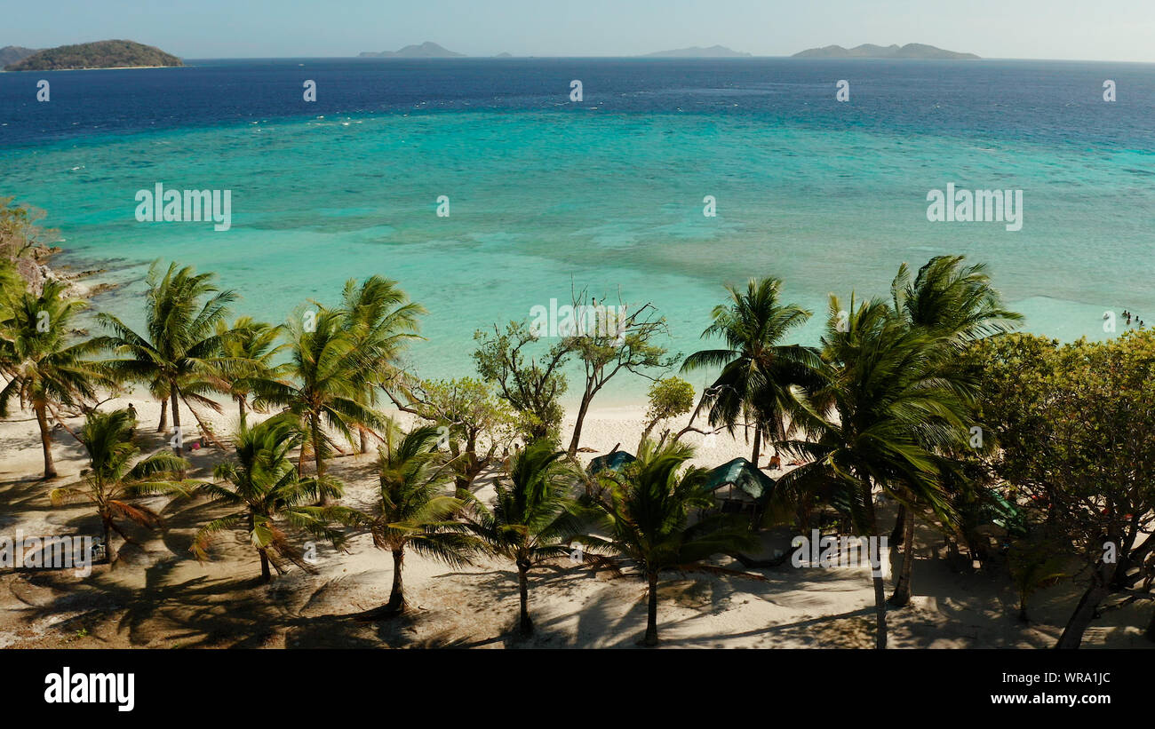 Vue aérienne plage de sable sur l'île tropicale avec palmiers et d'eau ...