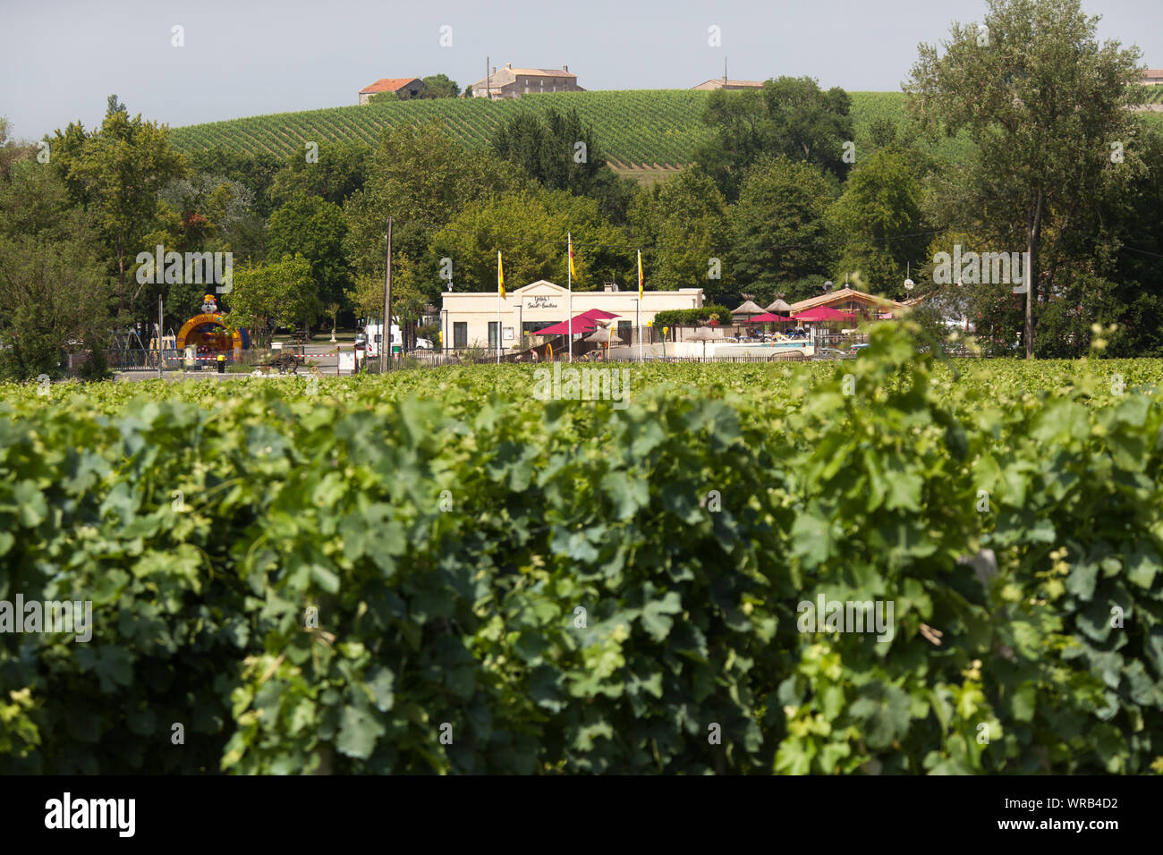 Ville de Saint-Emilion, France. Vue pittoresque du vignoble à Trimoulet, avec Saint Emilion Yelloh camping dans l'arrière-plan. Banque D'Images