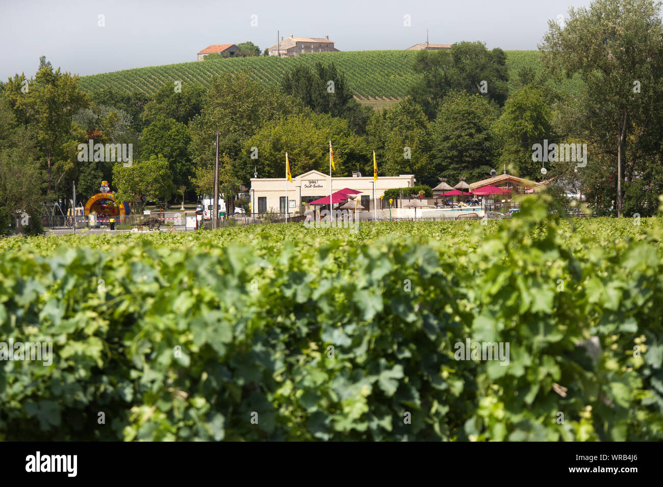 Ville de Saint-Emilion, France. Vue pittoresque du vignoble à Trimoulet, avec Saint Emilion Yelloh camping dans l'arrière-plan. Banque D'Images