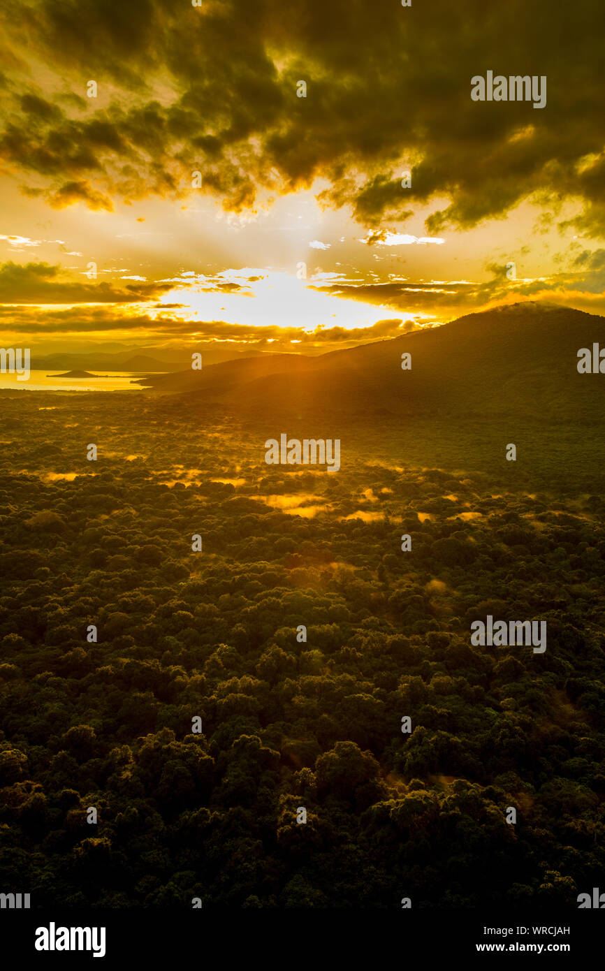 Lever de soleil sur spectaculaire forêt tropicale dans le Parc National de Nechisar, Éthiopie. Banque D'Images