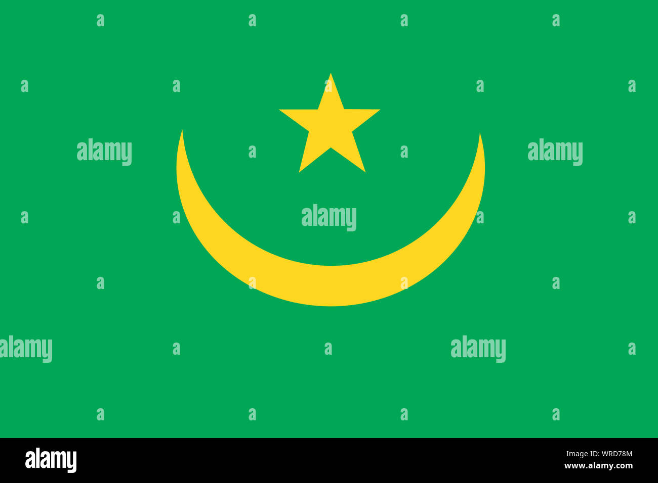 Drapeau vert blanc avec étoile verte Banque de photographies et d