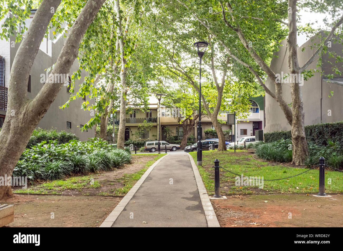 Fred Miller Park à Surry Hills, une ville, banlieue est de Sydney en Nouvelle Galles du Sud, Australie Banque D'Images