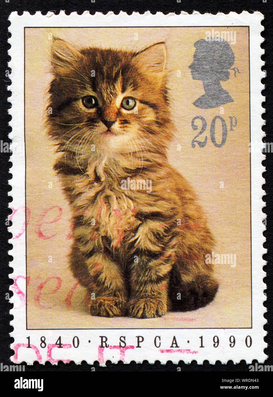 Timbres en Angleterre montrant un chat, circa 1990 Banque D'Images