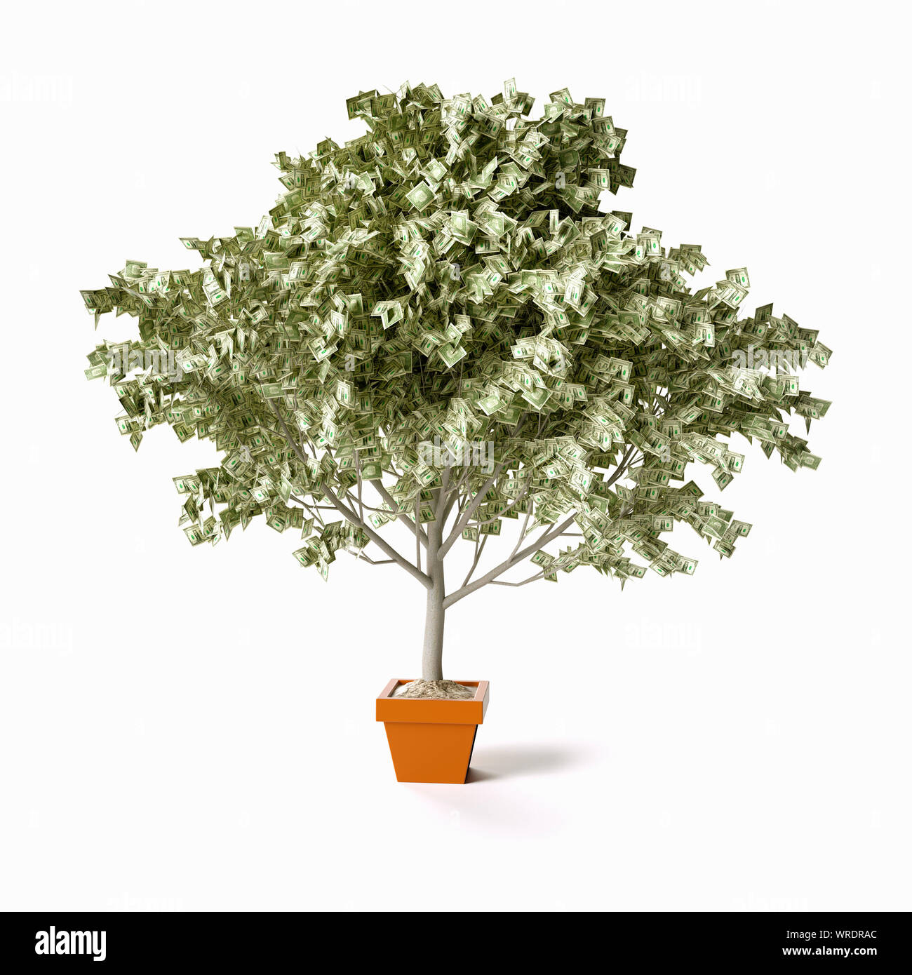 Arbre d'argent avec des dollars américains, USD Banque D'Images
