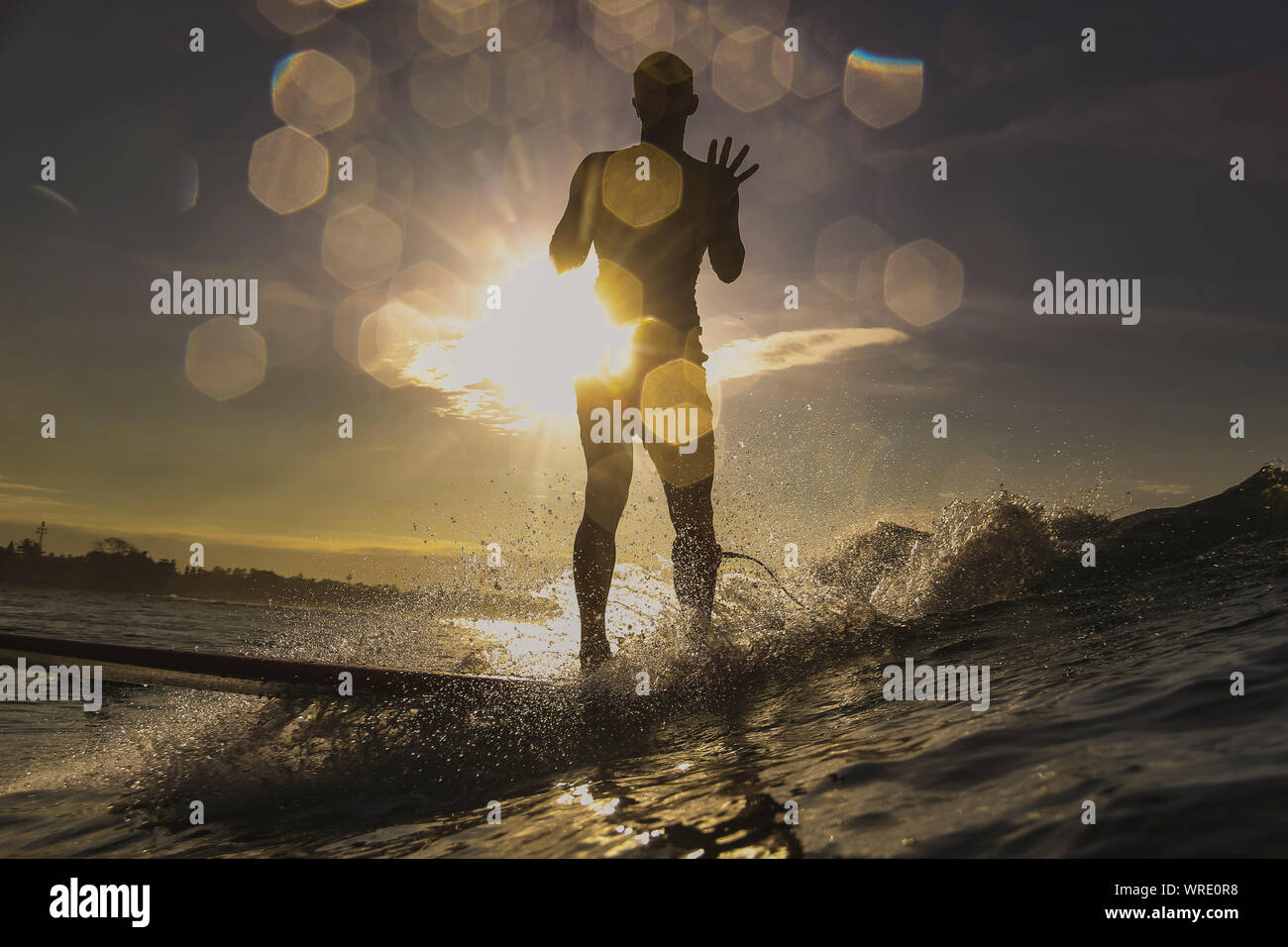 Silhouette de surfer au coucher du soleil Banque D'Images