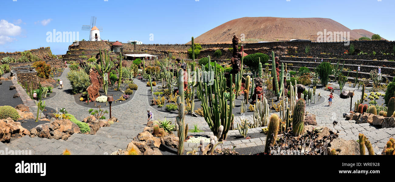 Jardin de cactus (Cesar Manrique). Lanzarote, îles Canaries. Espagne Banque D'Images