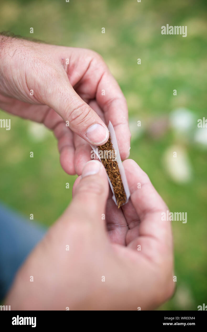 Les mains d'un homme roulant une cigarette Banque D'Images Les mains d'un homme roulant une cigarette Banque D'Images