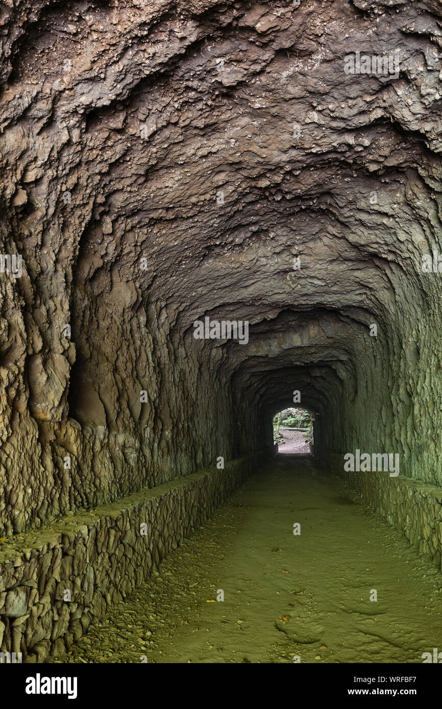 Voir à travers un long tunnel sur le sentier à travers la forêt tropicale canyon de Los Tilos en La Palma, Espagne. Banque D'Images